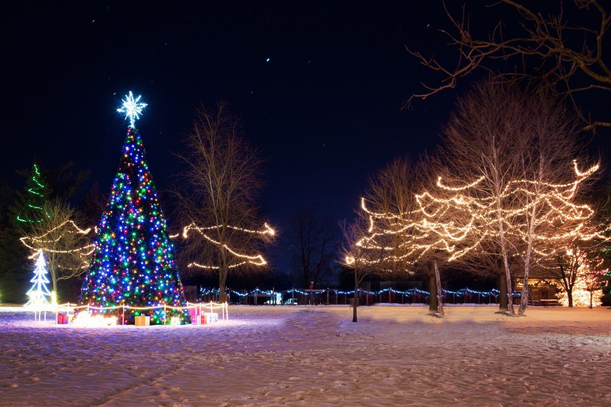 Christmas Town Xmas Tree Winter