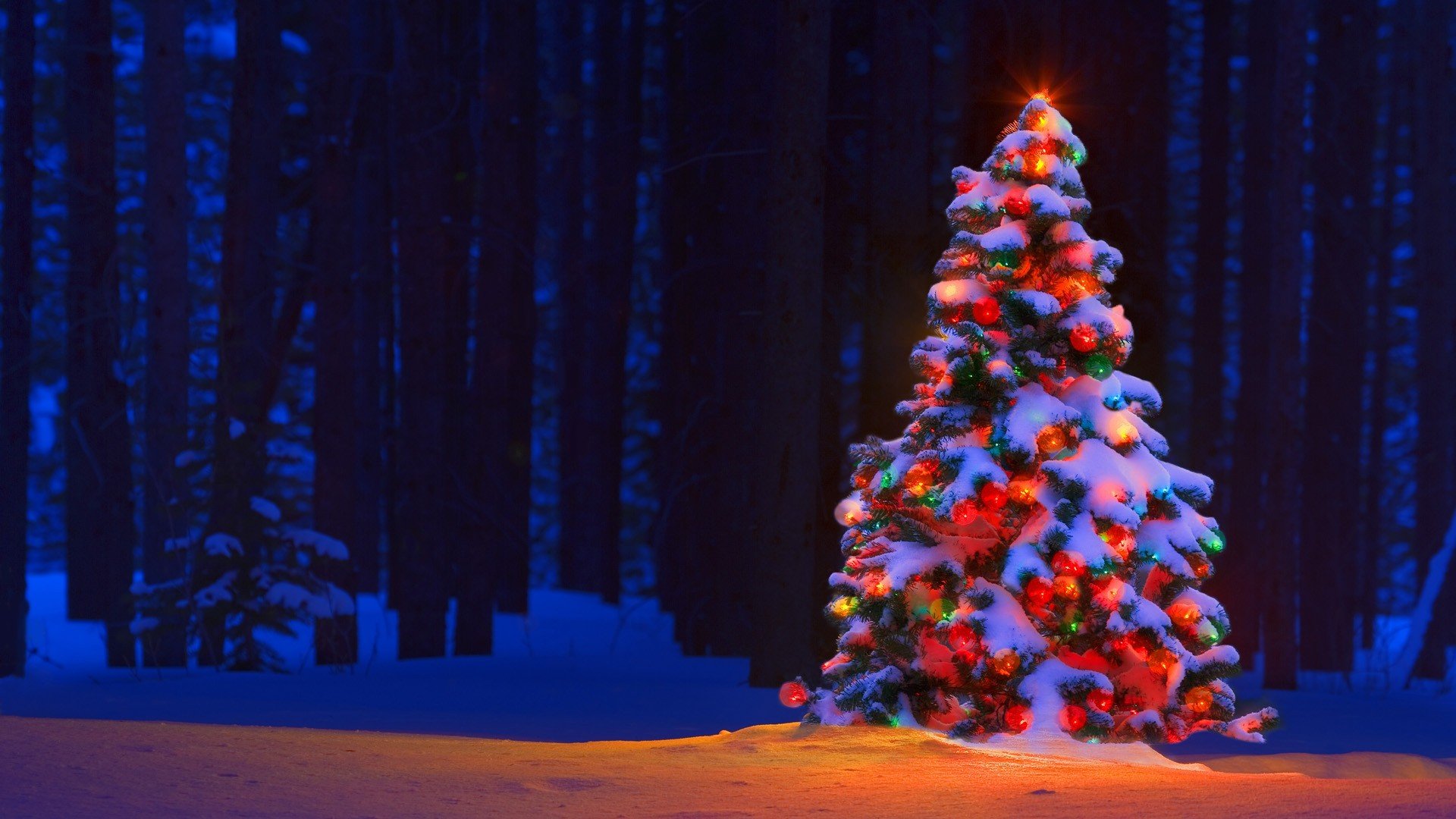 Christmas Tree Decorations Wallpapers