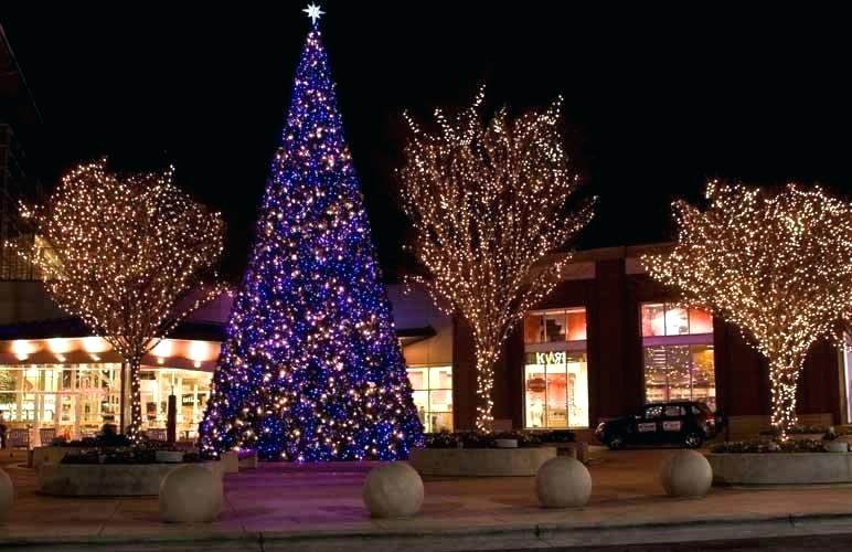 Christmas Tree Wallpapers