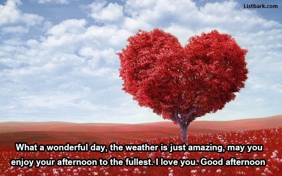 Good Afternoon Sms Wishes