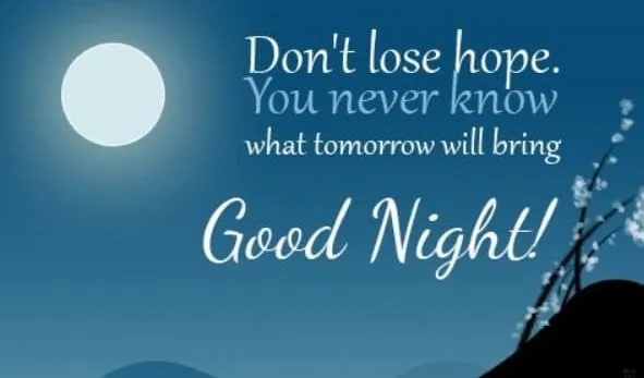 Good Night Quotes Couple
