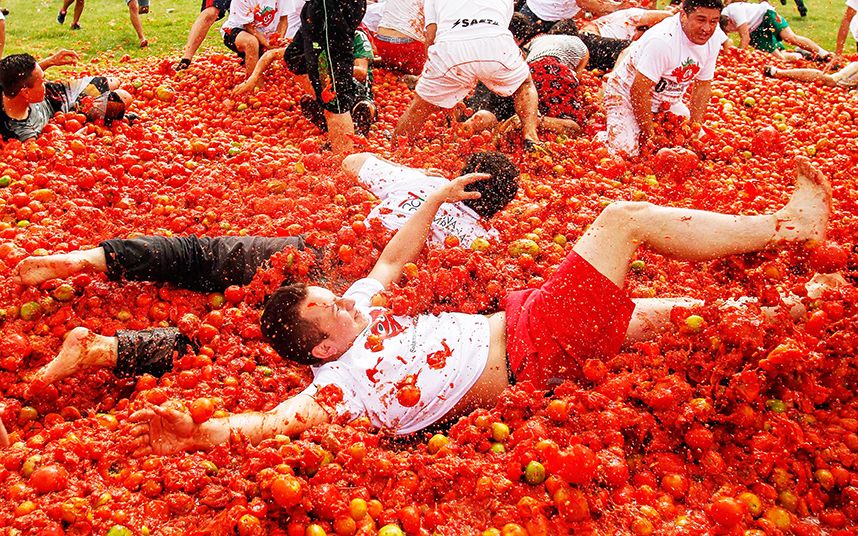 Spanish Tomato Festival
