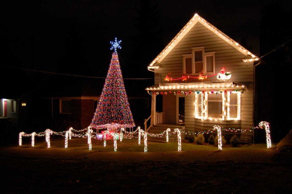 Top Christmas Tree Pics