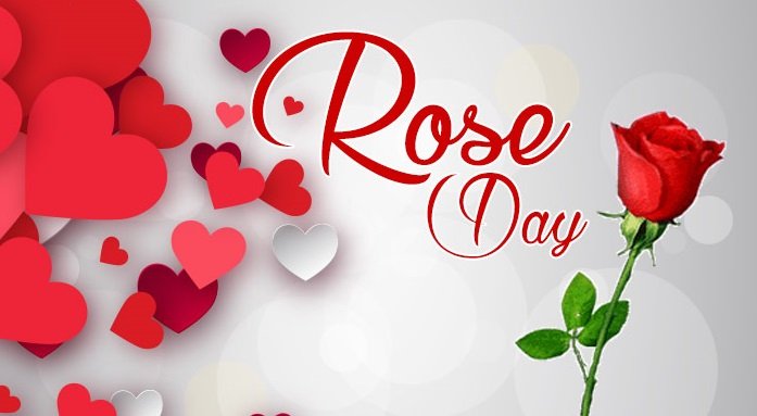 Beautiful Rose Day Images