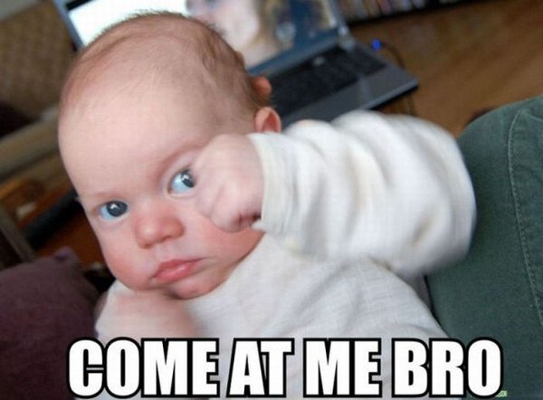 Funny Boxer Baby Photo