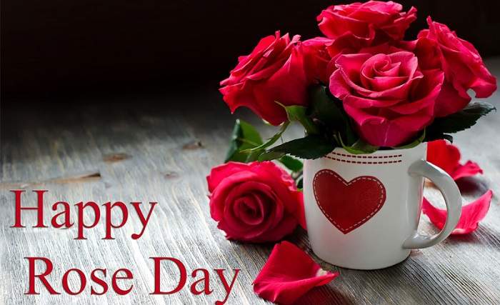 Happy Rose Day Wishes For Husband Wife