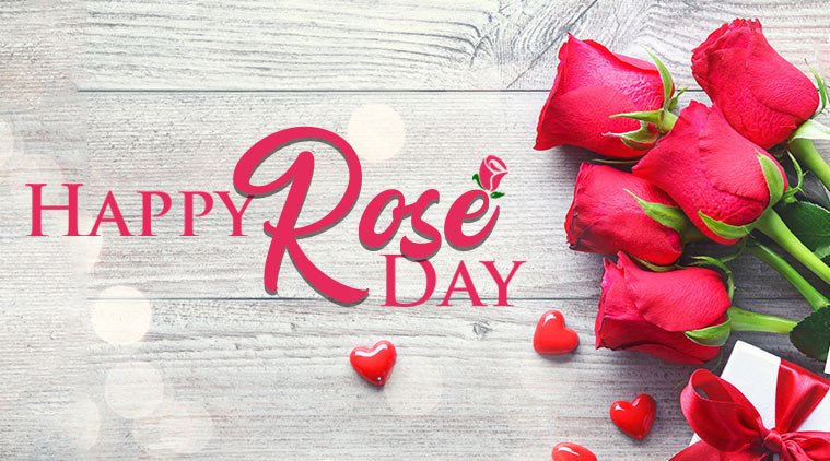 Rose Day Greetings