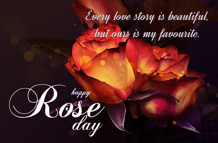Rose Day HD Wallpaper Download