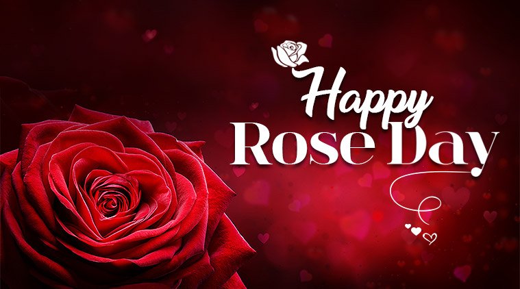 Rose Day Wallpaper