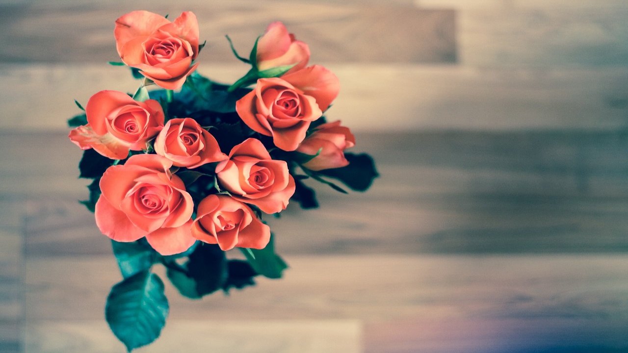 World Rose Day Images