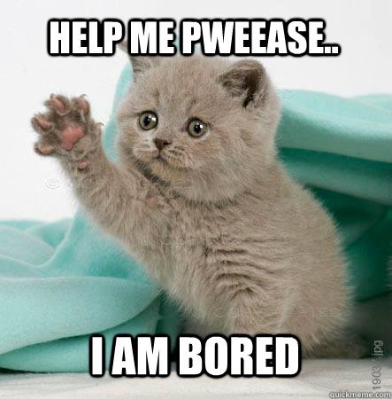 Cat Say Help Me Pweease I Am Bored Funny Bored Meme Image