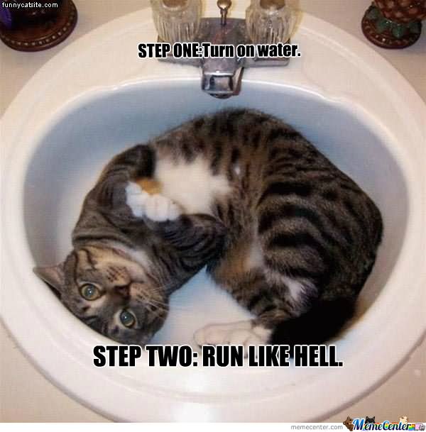 Step One Turn On Water Step Two Run Like Hell Funny Bored Meme Image