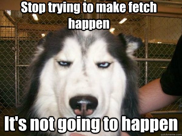 Stop Trying To Make Fetch Happen It's Not Going To Happen Funny Bored Meme Picture