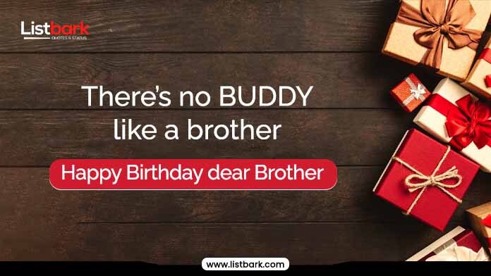 birthday wishes reply to brother
